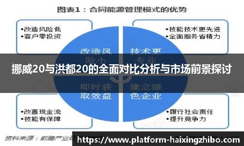 挪威20与洪都20的全面对比分析与市场前景探讨