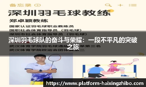 深圳羽毛球队的奋斗与荣耀：一段不平凡的突破之旅